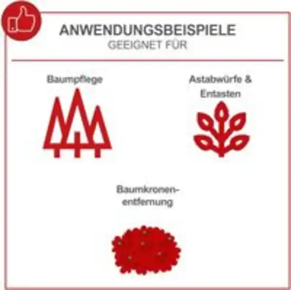 Bild 3 von Benzin-Baumpflegesäge PCS26