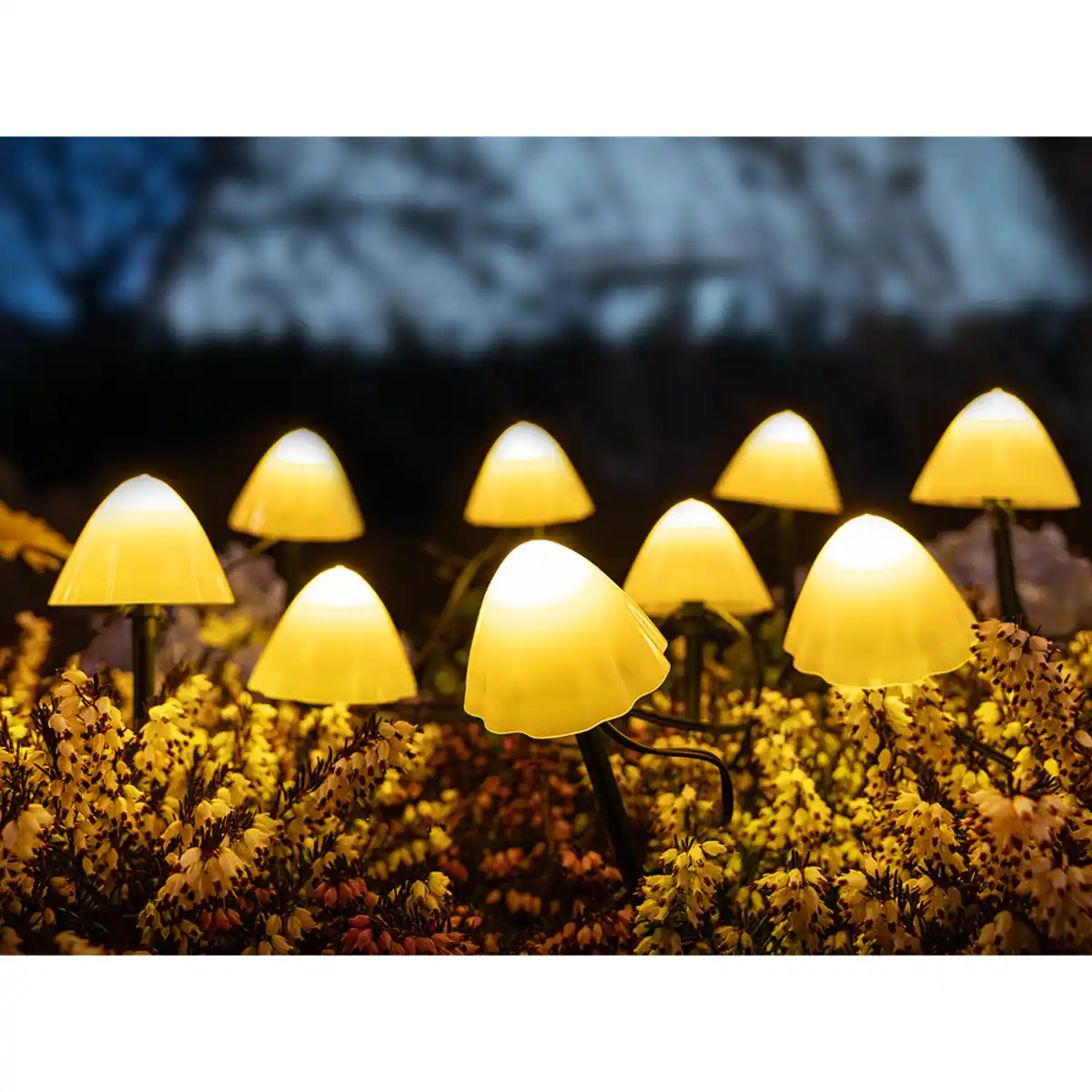 Bild 1 von LED-Solar-Lichterkette-Pilze, warmweiß