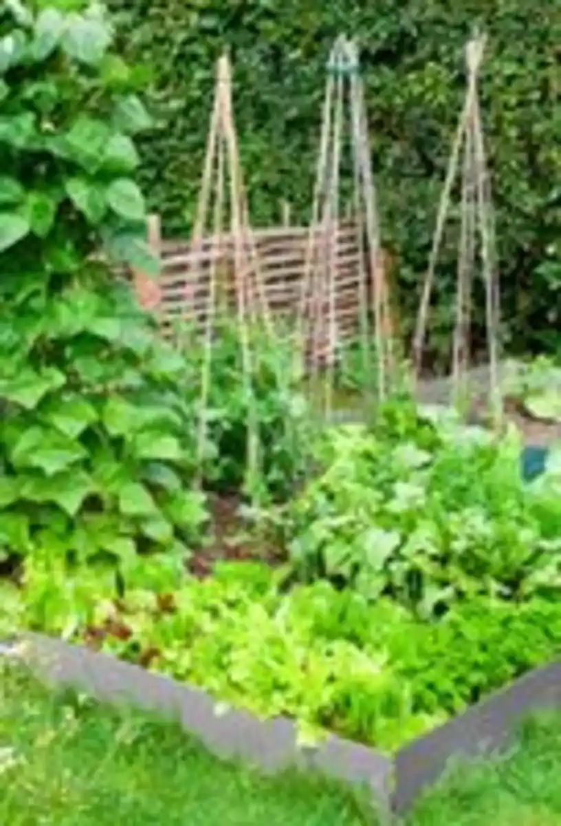 Bild 4 von 6er Set Rasenkanten Beetumfassungen Mähkanten L 119,5 x H 13 cm aus Stahl