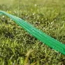 Bild 3 von Sprühschlauch, ca. 15 m