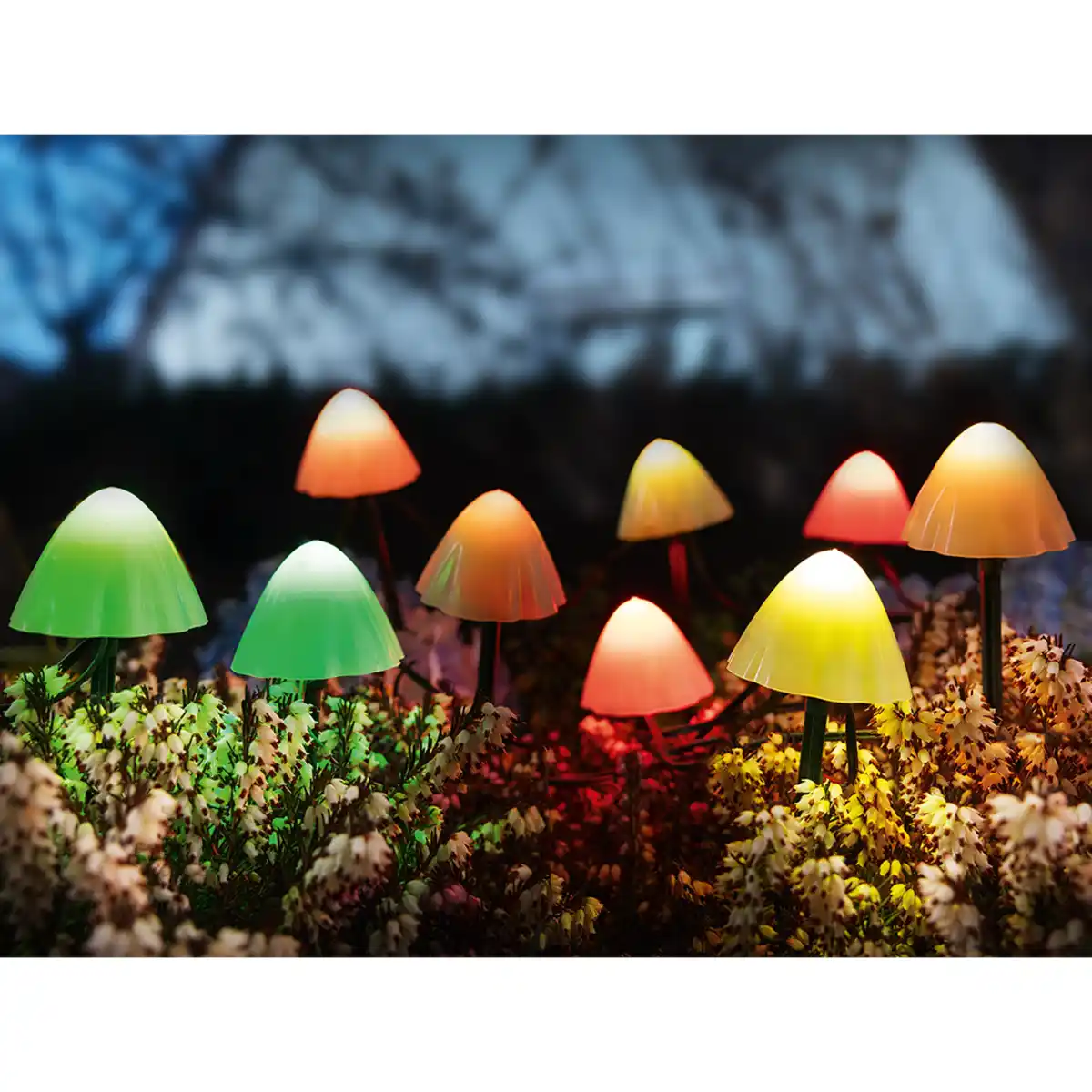 Bild 1 von LED-Solar-Lichterkette-Pilze, mit RGB Farbwechsel