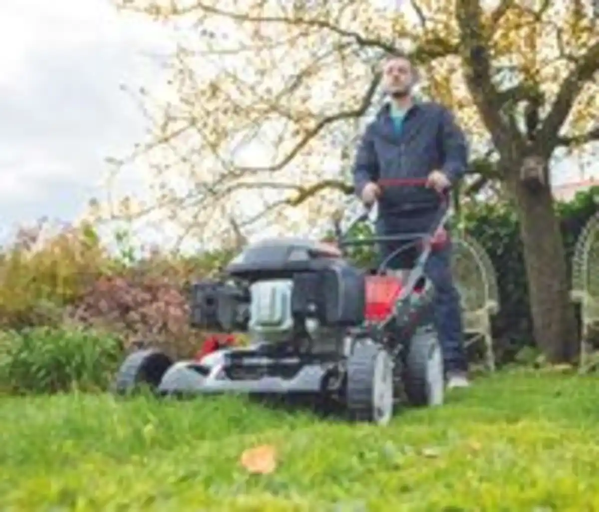 Bild 2 von Benzin-Rasenmäher MS173-51 SE