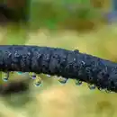 Bild 2 von Perlschlauch - ca. 15 m x 16 mm