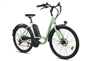 LLobe City E-Bike 26" Town Compact grün