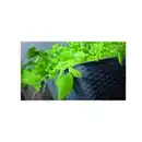 Bild 4 von Pflanzkasten-Komplettset 2 Stück - ca. 49 x 17 x 17 cm Anthrazit