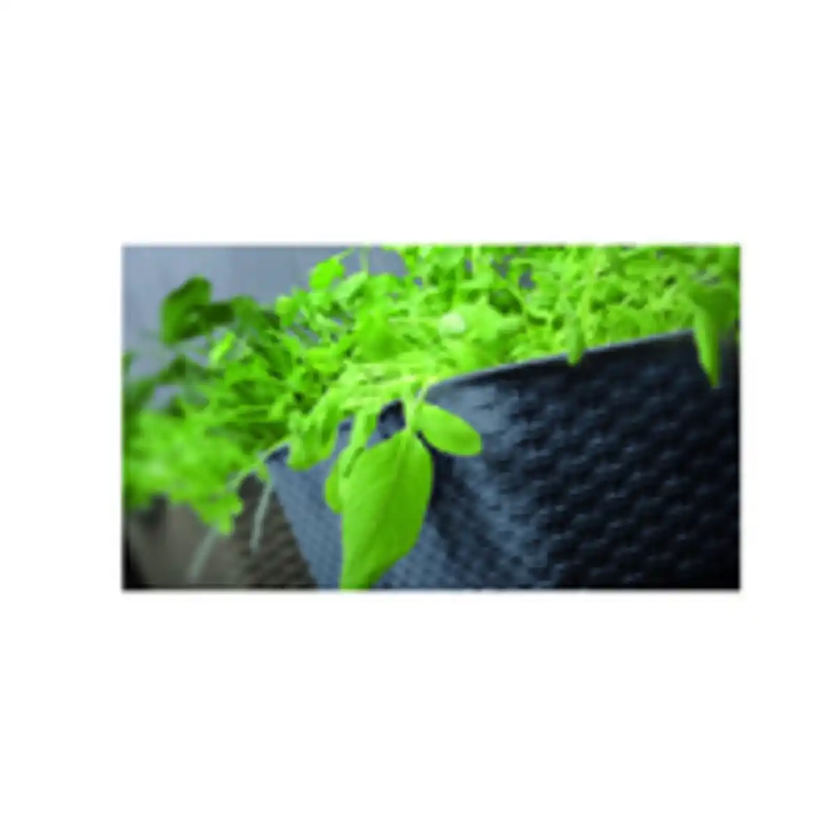 Bild 4 von Pflanzkasten-Komplettset 2 Stück - ca. 49 x 17 x 17 cm Anthrazit