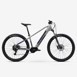 STILUS E-Mountainbike Hardtail Stilus Offroad hellgrau