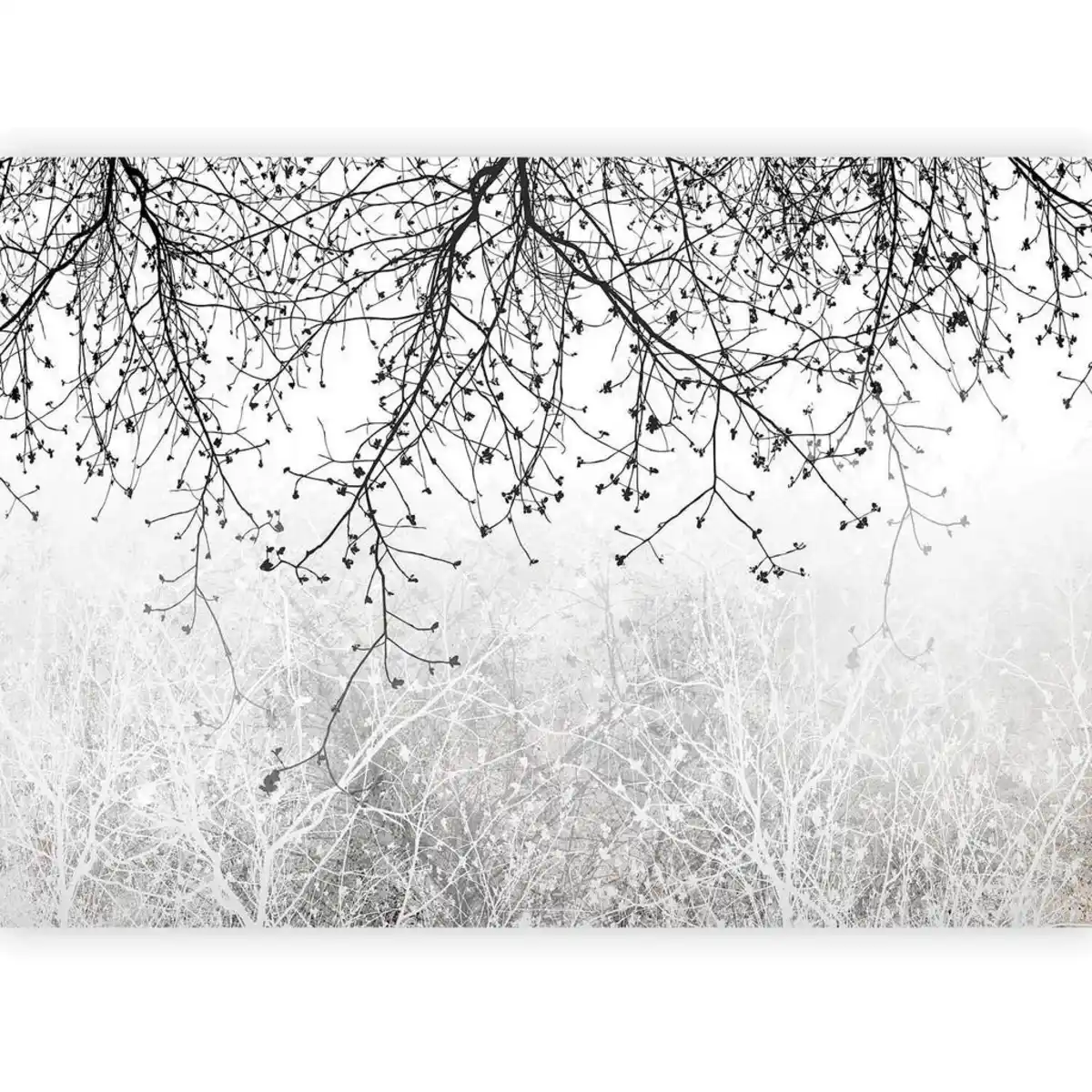 Bild 1 von artgeist Fototapete, Grau, Schwarz, Textil, Bäume, 250x175 cm, CE, Tapeten & Wandverkleidungen, Fototapeten