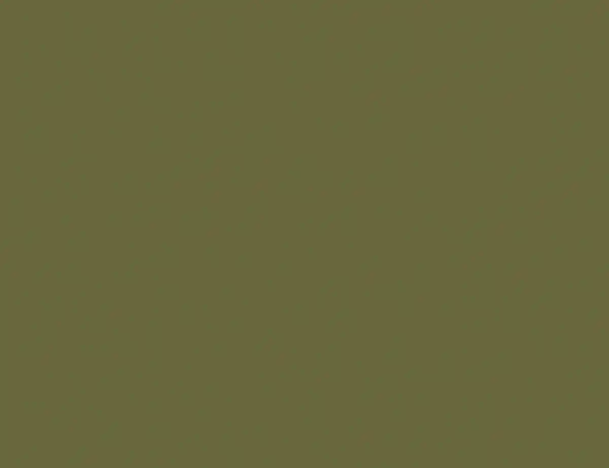 Bild 1 von d-c-fix Klebefolie Uni Olive Seidenmatt