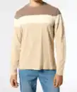 Bild 1 von Dreifarbiges Langarmshirt, braun/natur