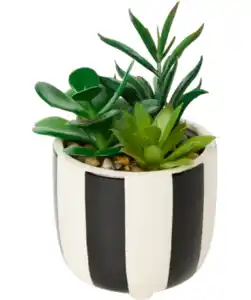 Kunst-Sukkulente im Topf, schwarz/weiß