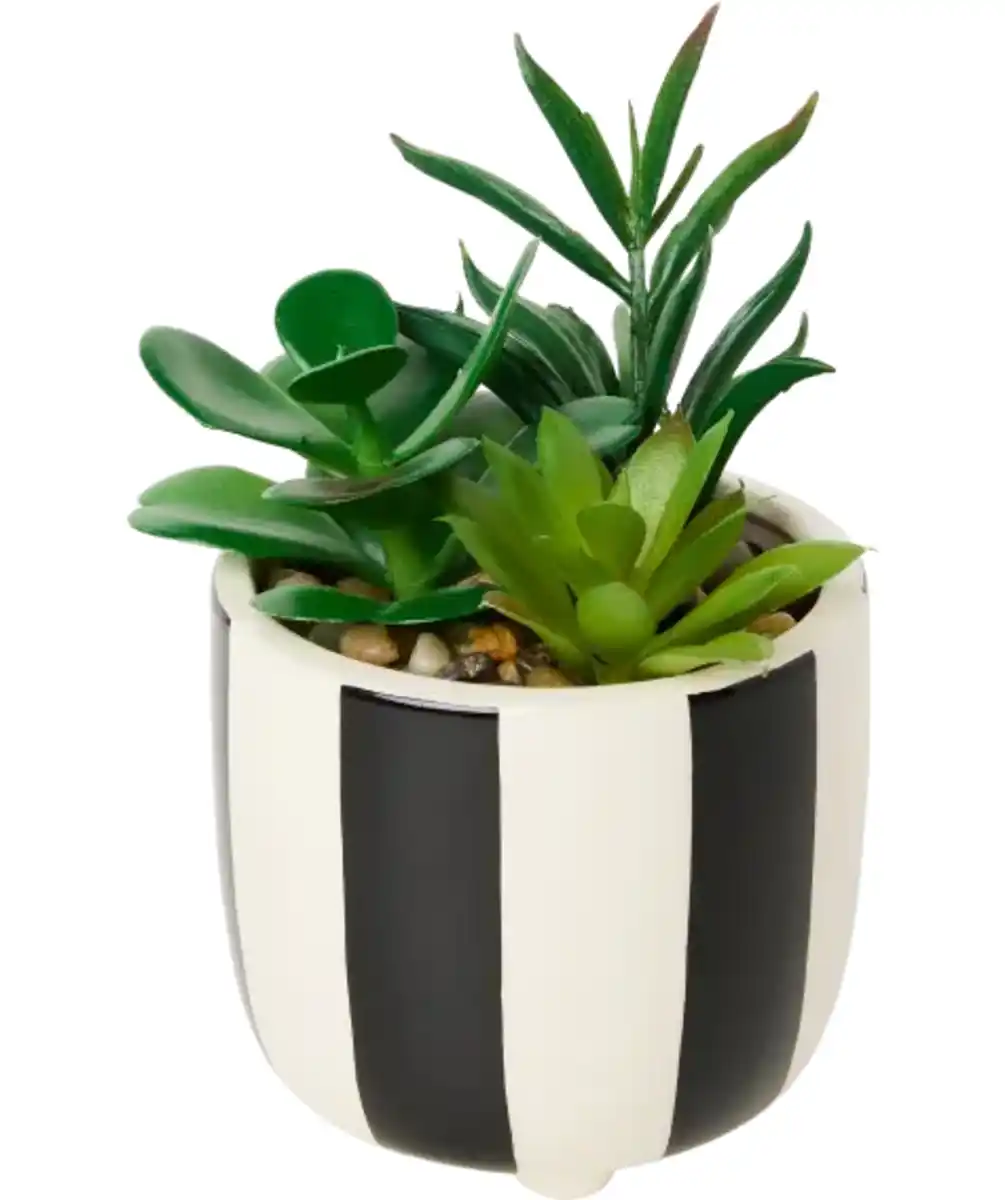 Bild 1 von Kunst-Sukkulente im Topf, schwarz/weiß