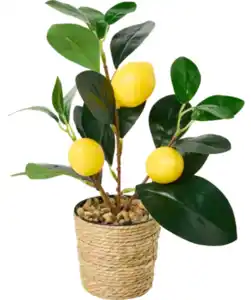 Künstlicher Zitrusbaum im Rattan-Übertopf, gelb