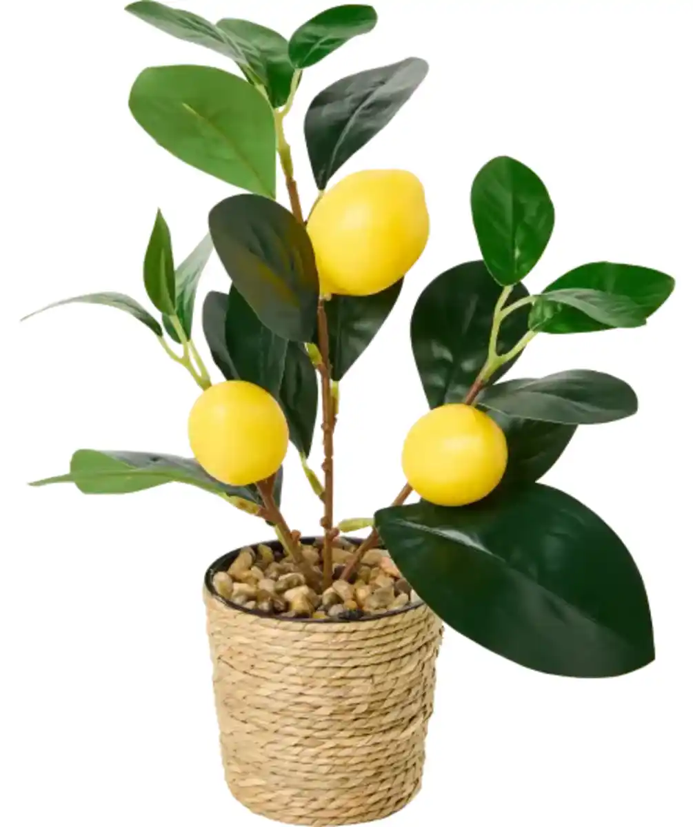 Bild 1 von Künstlicher Zitrusbaum im Rattan-Übertopf, gelb