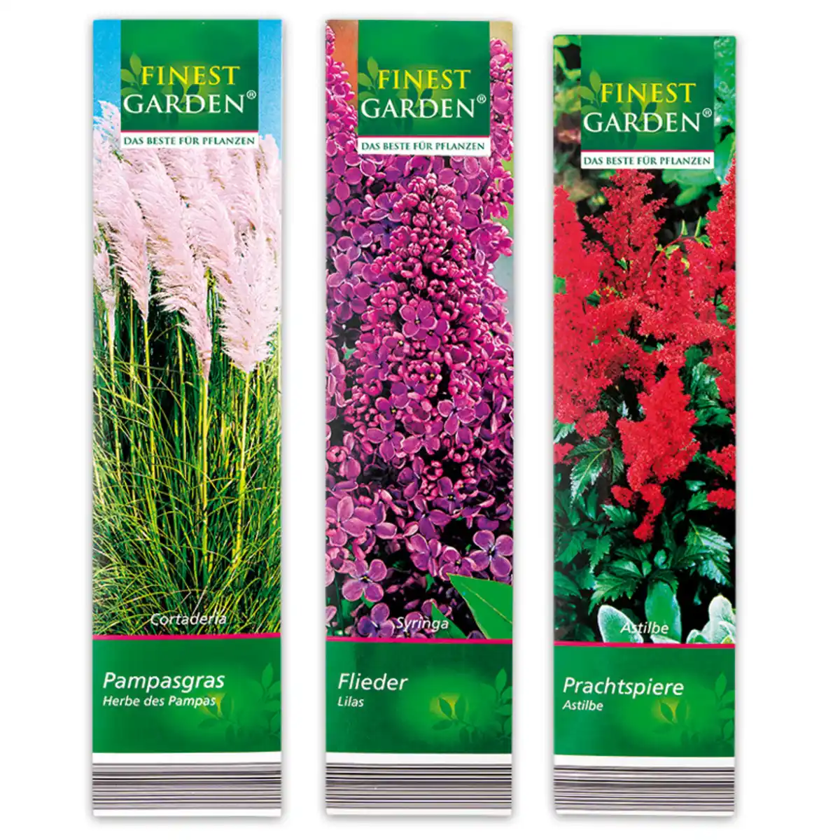 Bild 1 von Finest Garden Kübelpflanzen Besonderheit