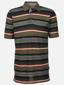 Herren Poloshirt im Streifenlook Oliv