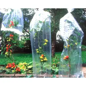 Grüner Jan Tomaten-Reifehaube in Schlauchform 10x0,65m