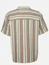 Bild 2 von Herren Freizeithemd mit Streifen Beige