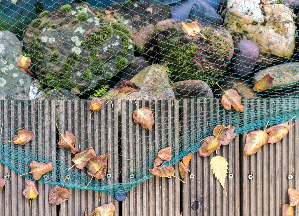 Bild 1 von Teichnetz 6x5m