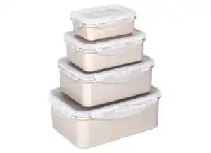 Frischhaltedosen Kunststoff und Silikon