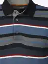 Bild 3 von Herren Poloshirt im Streifenlook Blau