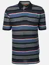 Bild 1 von Herren Poloshirt im Streifenlook Blau