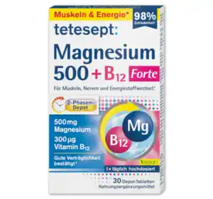 TETESEPT Magnesium 500 + B12*