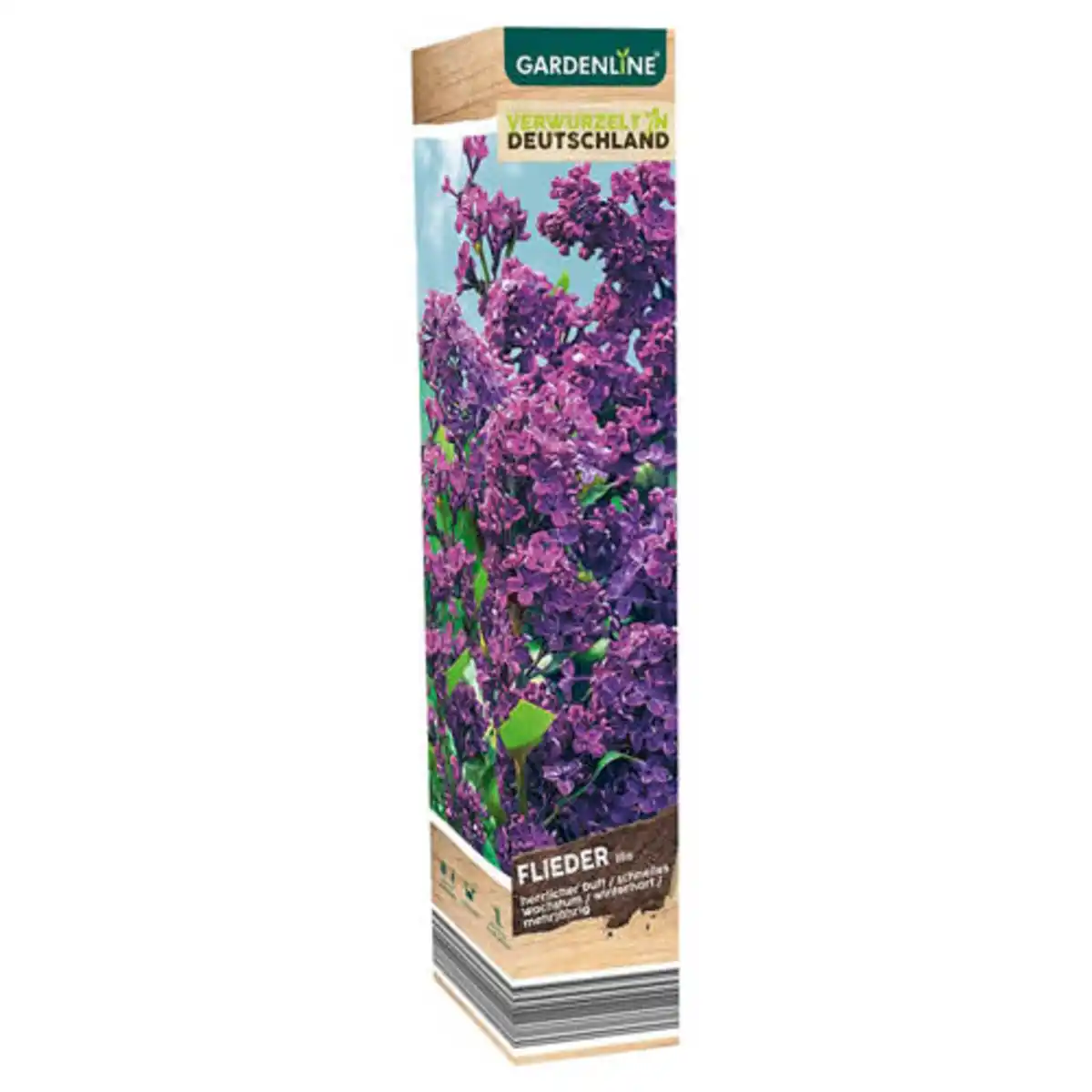 Bild 1 von GARDENLINE Gartenpflanzen-Mix oder Dipladenia, Flieder