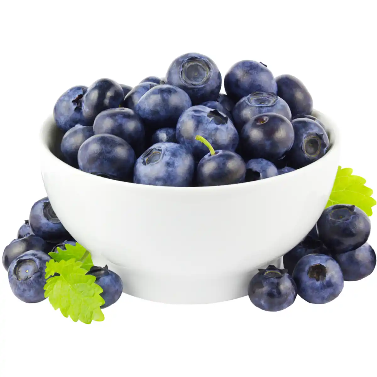 Bild 1 von Kulturheidelbeeren