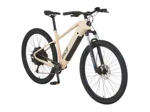 Prophete E-Bike Alu-E-MTB 29,0 Zoll DICE 2.0""