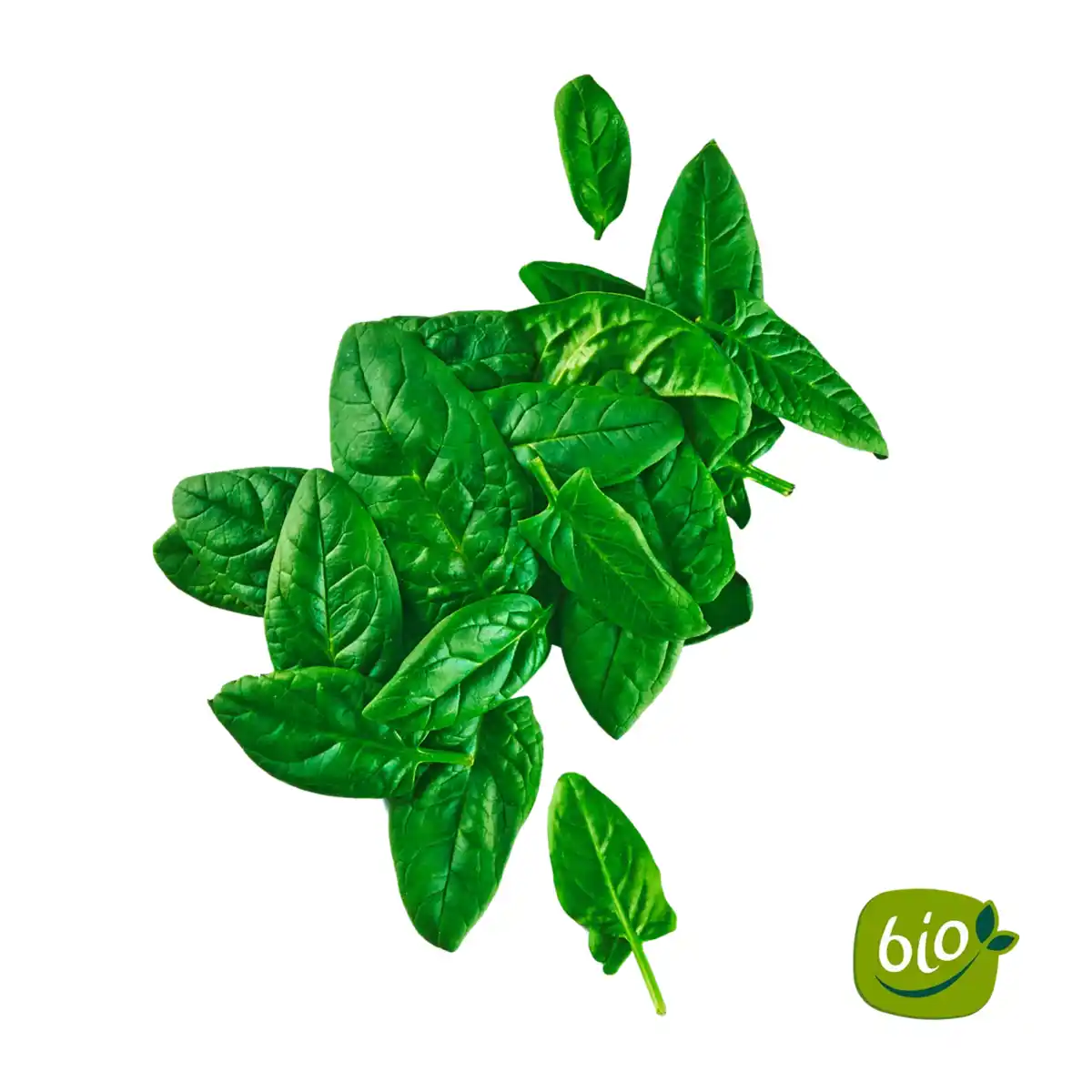 Bild 1 von BIO Spinat