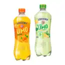 Bild 1 von GEROLSTEINER Limo