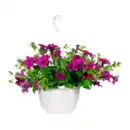 Bild 2 von GARDENLINE Ampelpflanze