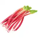 Bild 1 von Rhabarber