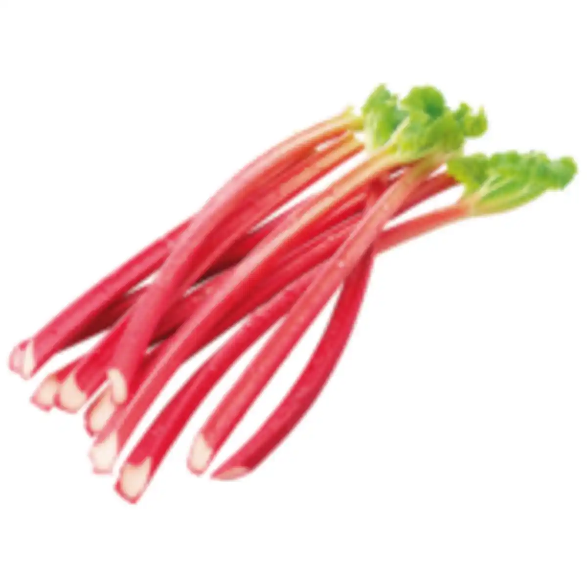 Bild 1 von Rhabarber