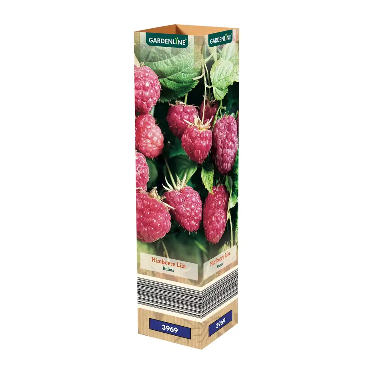 Bild 3 von GARDENLINE Himbeere