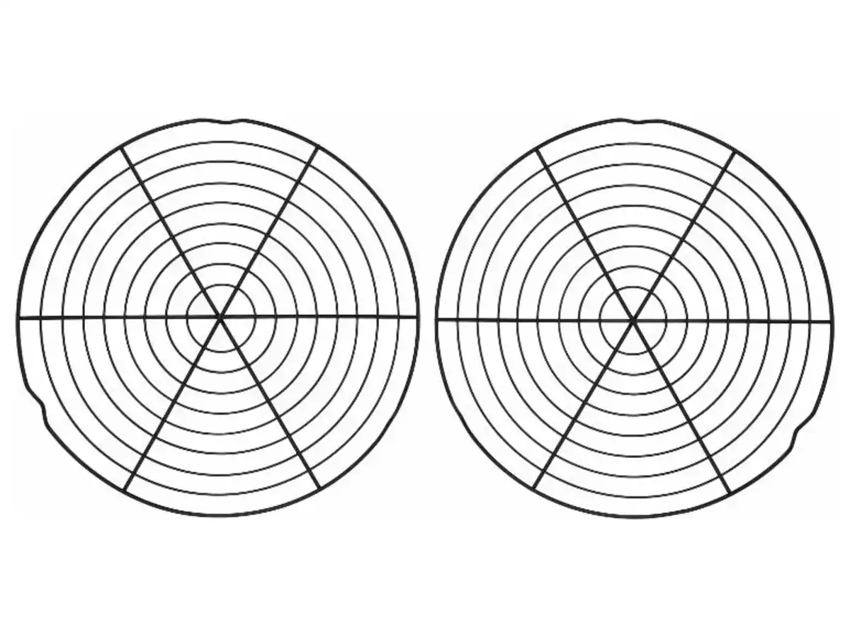 Bild 1 von SILVERCREST® Back- und Abkühlgitter-Set, 2 Stück