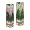 Bild 1 von GARDENLINE Pampasgras