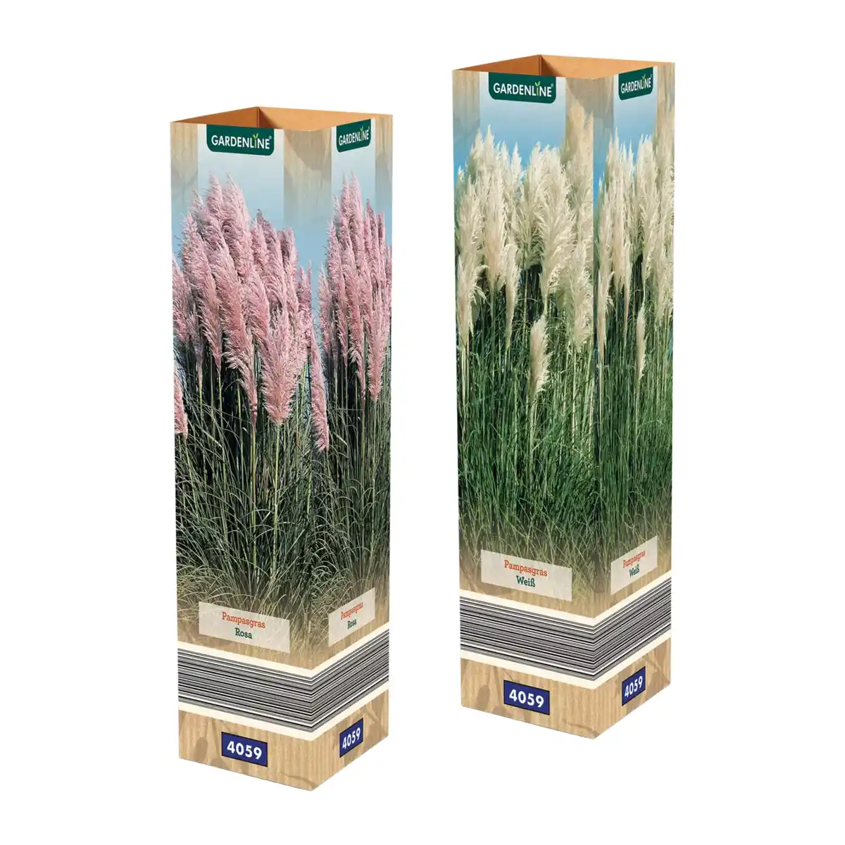 Bild 1 von GARDENLINE Pampasgras