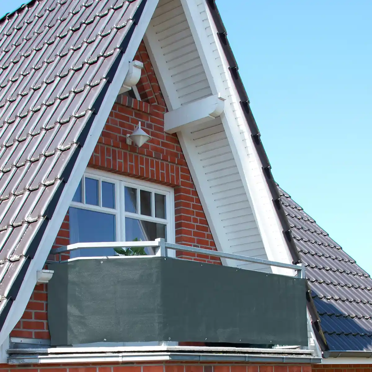 Bild 3 von BELAVI Sichtschutz