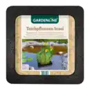 Bild 3 von GARDENLINE Teichpflanzen-Insel