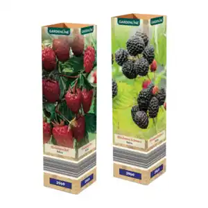 GARDENLINE Himbeere