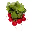 Bild 1 von Radieschen Bund