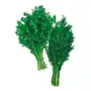 Bild 1 von Kräuter Großbund Dill oder Petersilie