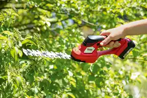 Akku Gras- und Strauchschere 12V