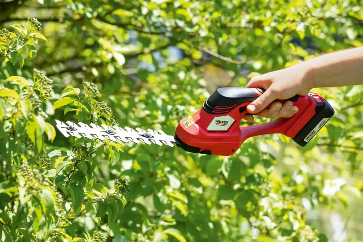 Bild 1 von Akku Gras- und Strauchschere 12V