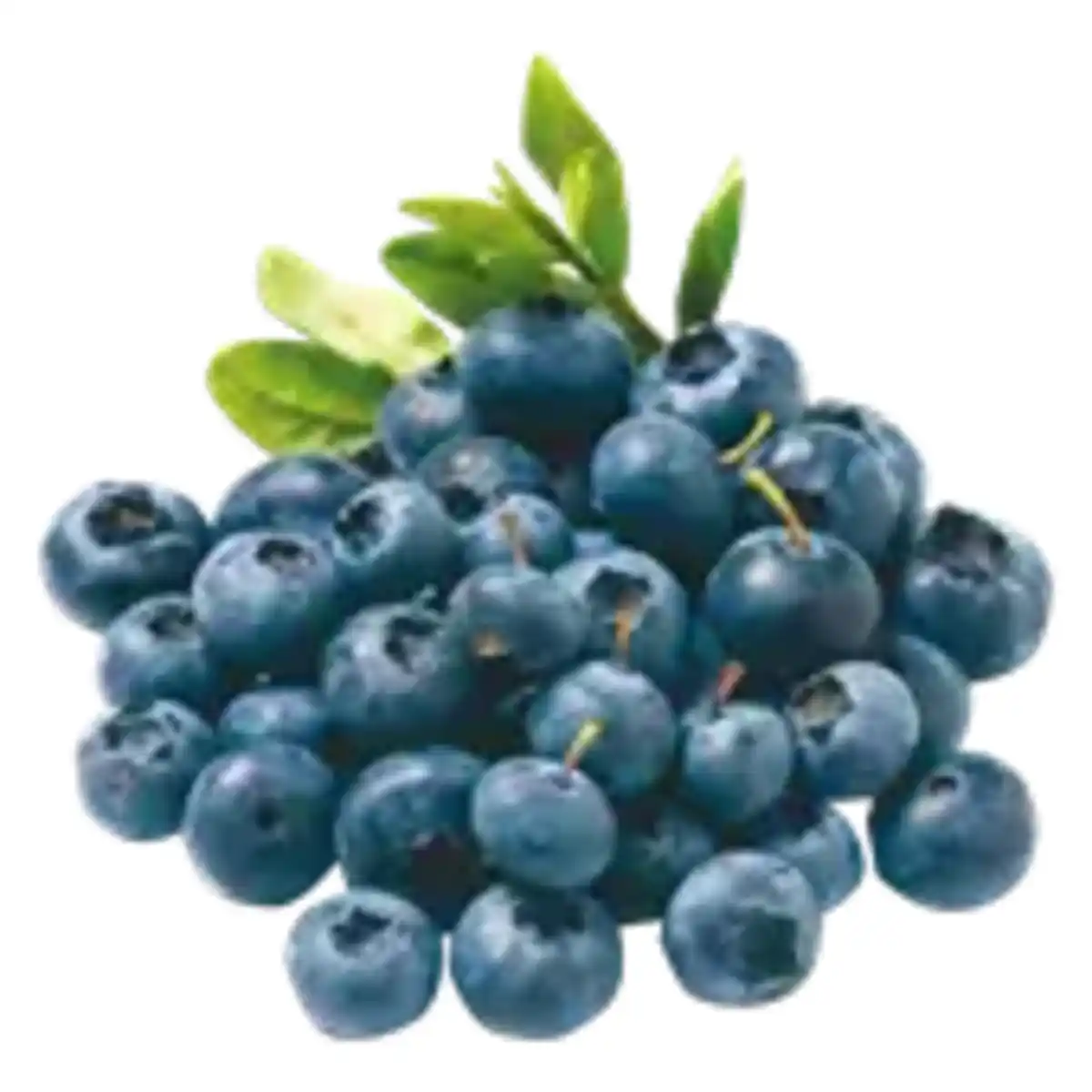 Bild 1 von Heidelbeeren