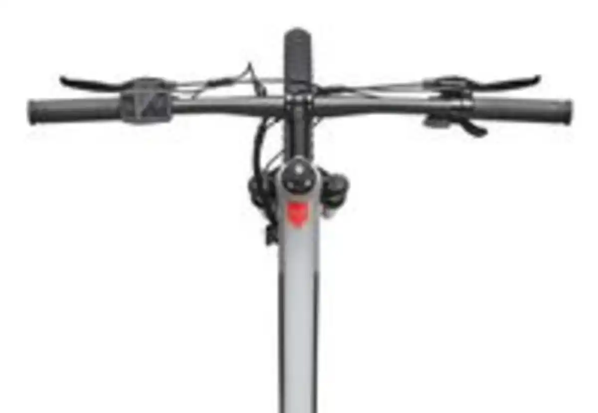 Bild 4 von MTB E-Bike Herren Mountainbike M921 29 Zoll Hinterradmotor 7-Gang Kettenschaltung