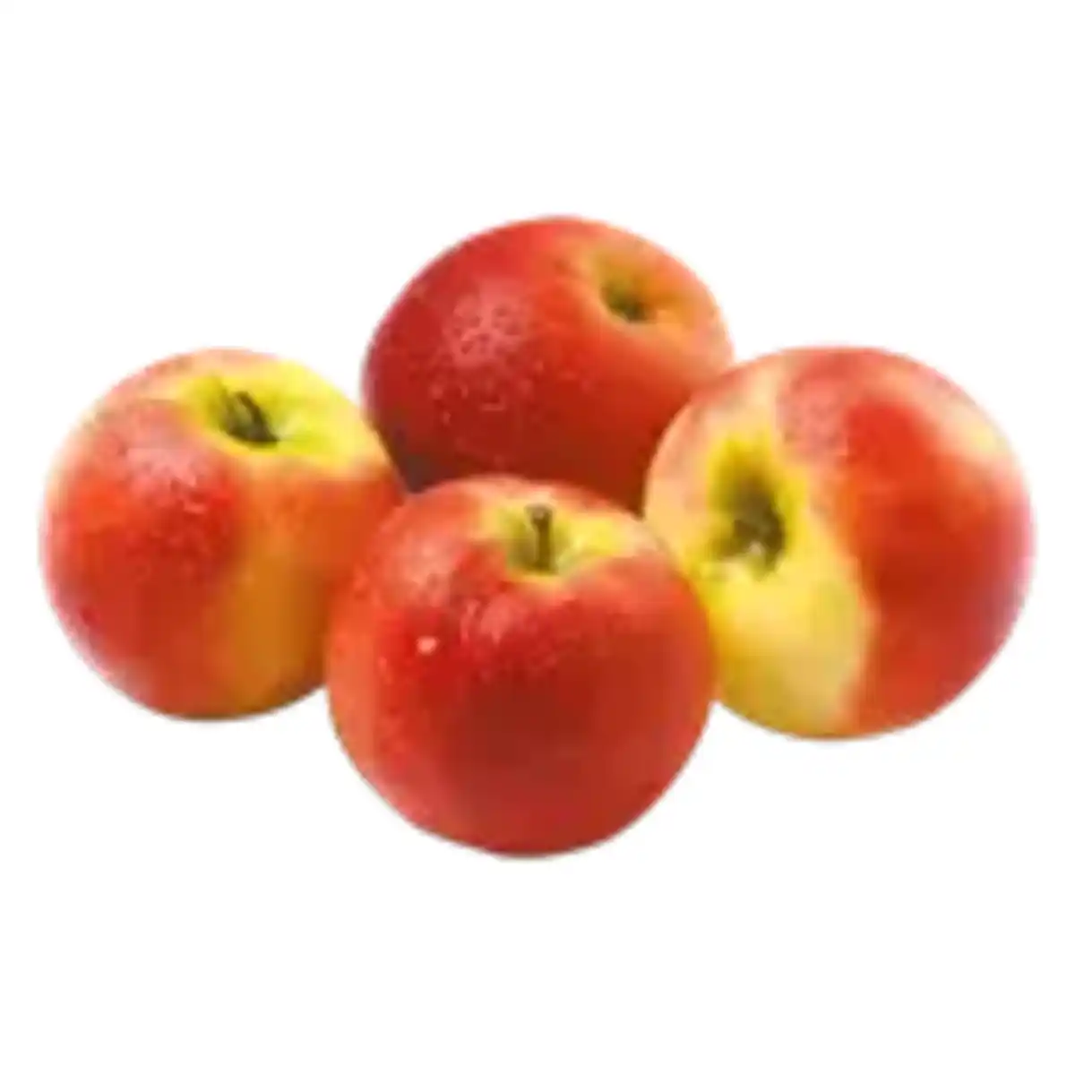 Bild 1 von GO Regio Elstar