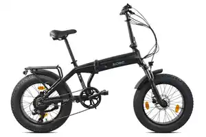 Falt Fat-E-Bike 20" Robust Pro